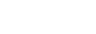 airline - white with website